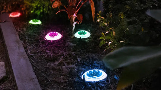Solar disc lights keep your garden glowing rain or shine
