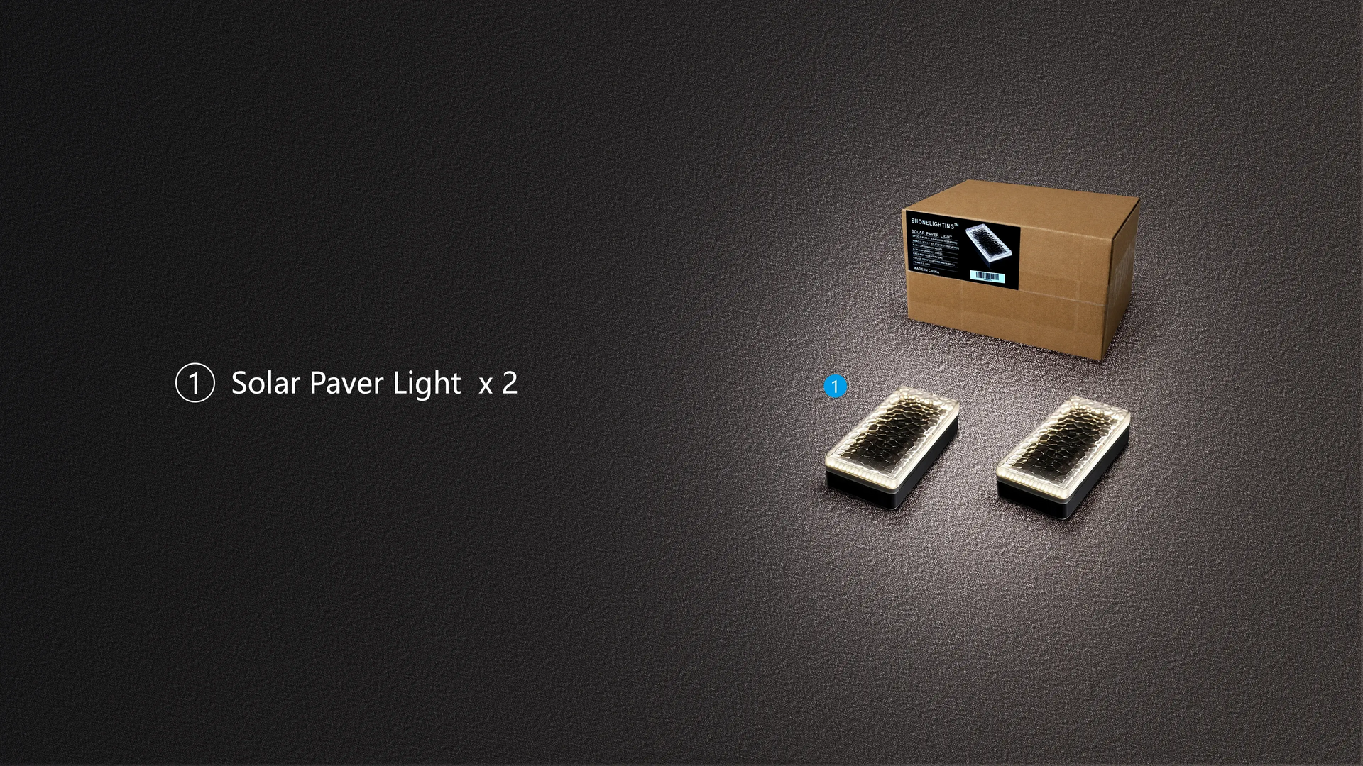 SHONE Solar Paver Light 4x8 2-Pack