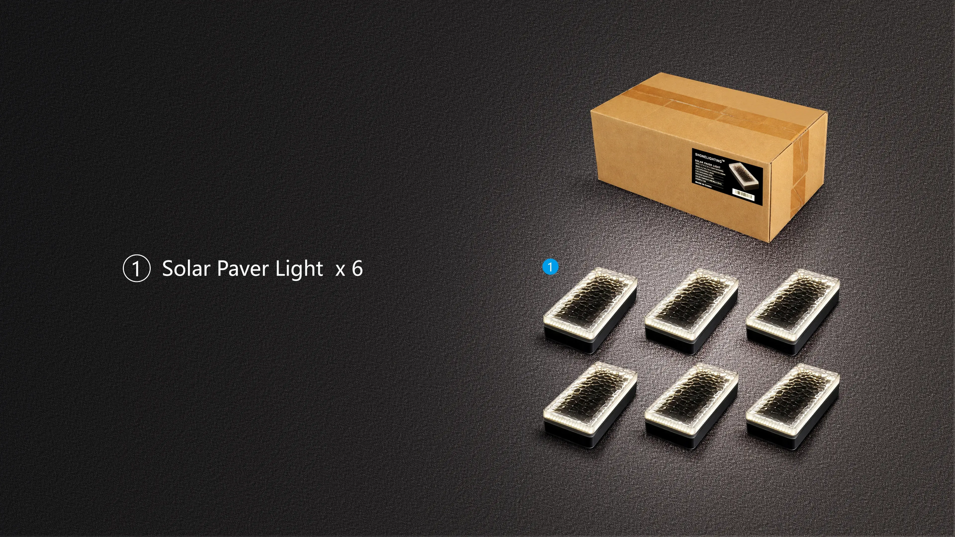 SHONE Solar Paver Light 4x8 6-Pack