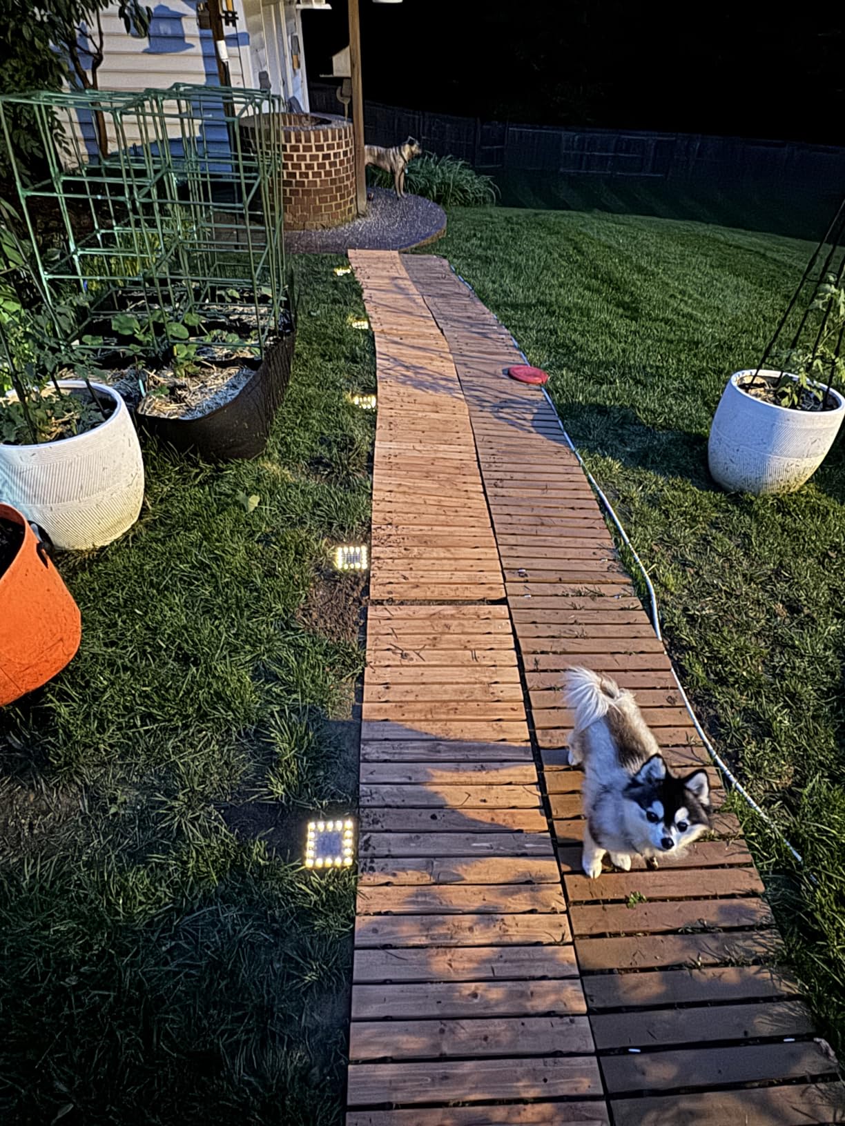 led solar pathway lights